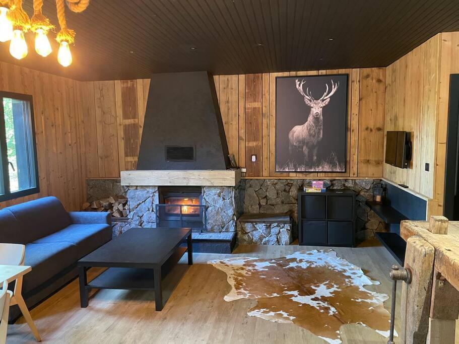 Chalet En Foret Avec Etang. Saint-Etienne-les-Remiremont Exterior photo